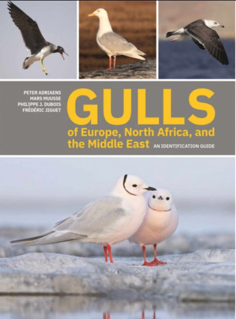 Gulls of Europe, North Africa, and the Middle East: An Identification Guide - Adriaens, P. 2021